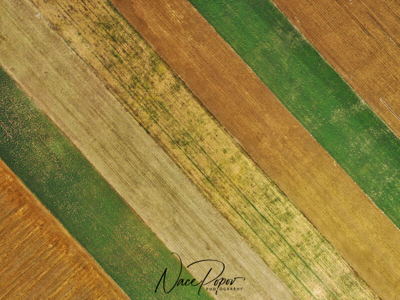Agricultural fields, Macedonia