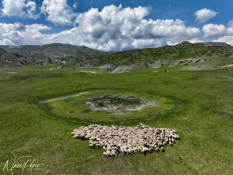 Macedonia Tour Guide photo