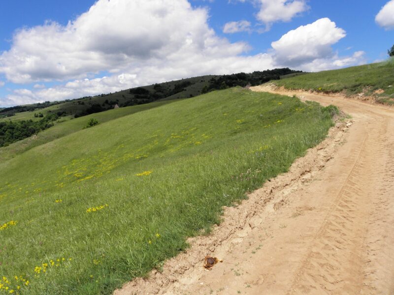 Berovo, meadows