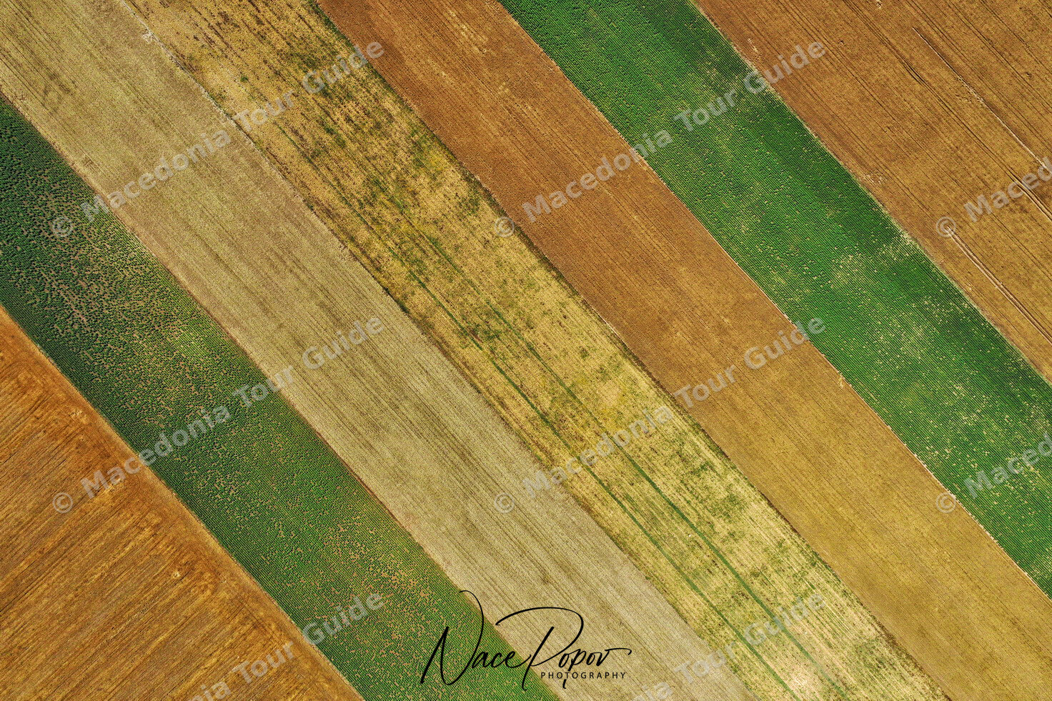 Agricultural fields, Macedonia