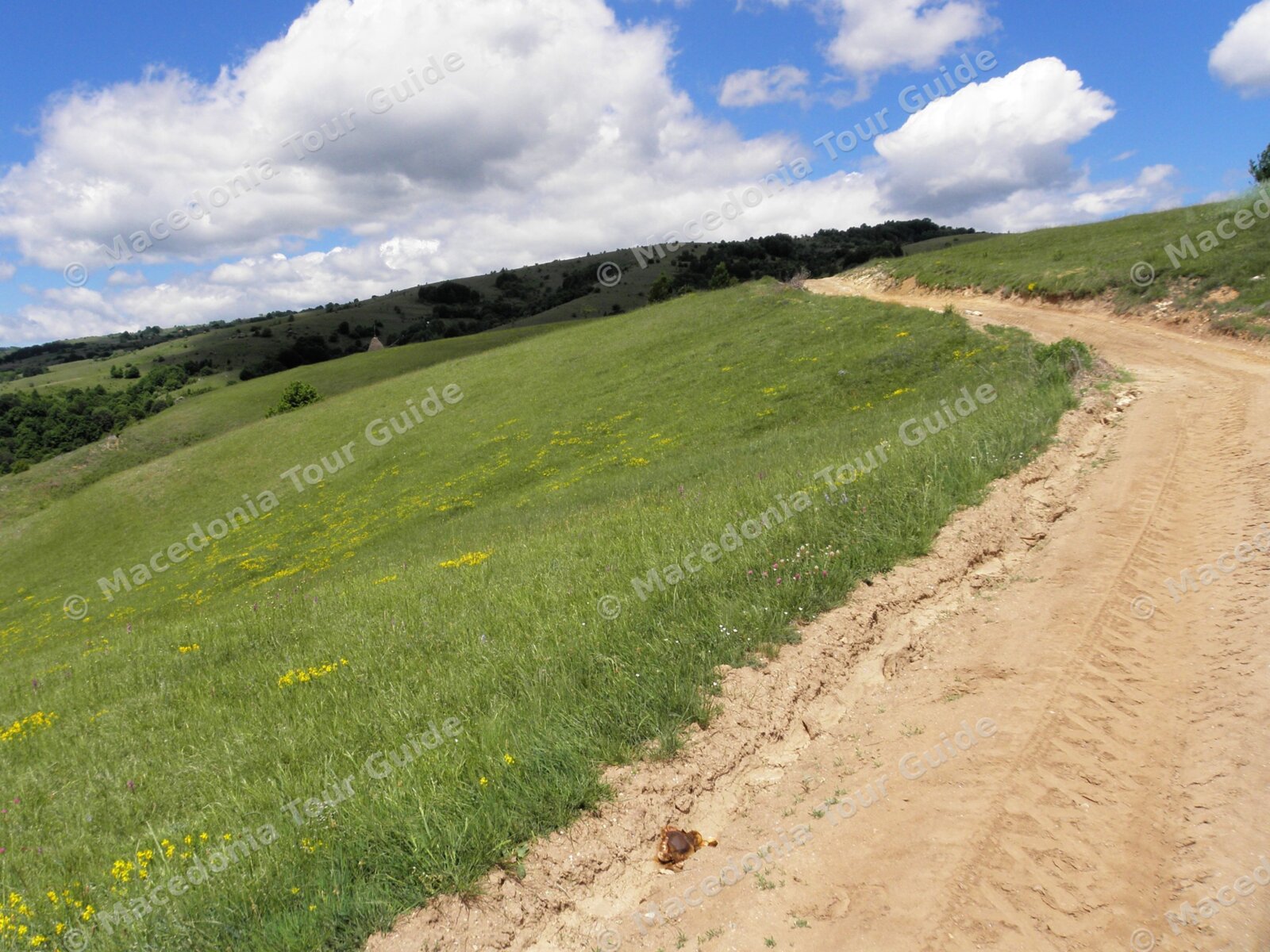 Berovo, meadows