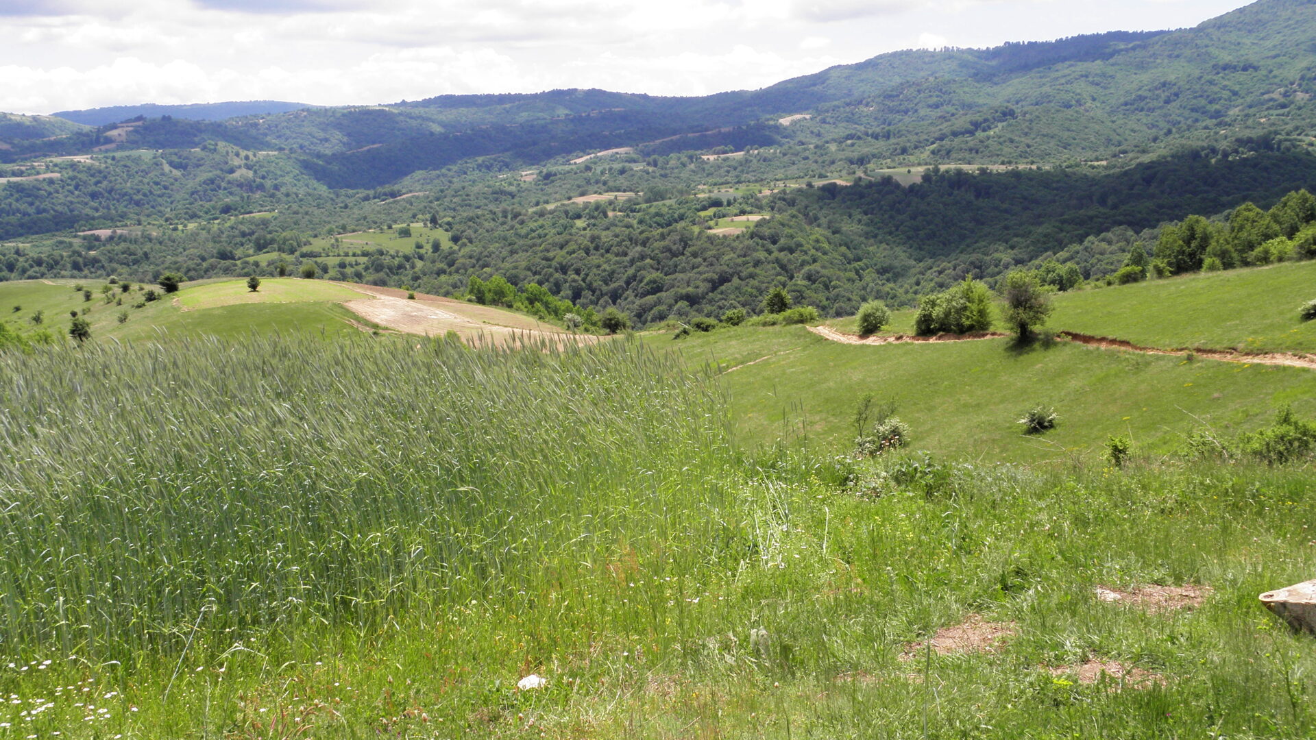 Berovo Day Escape – Discovering Macedonia’s Hidden Gem